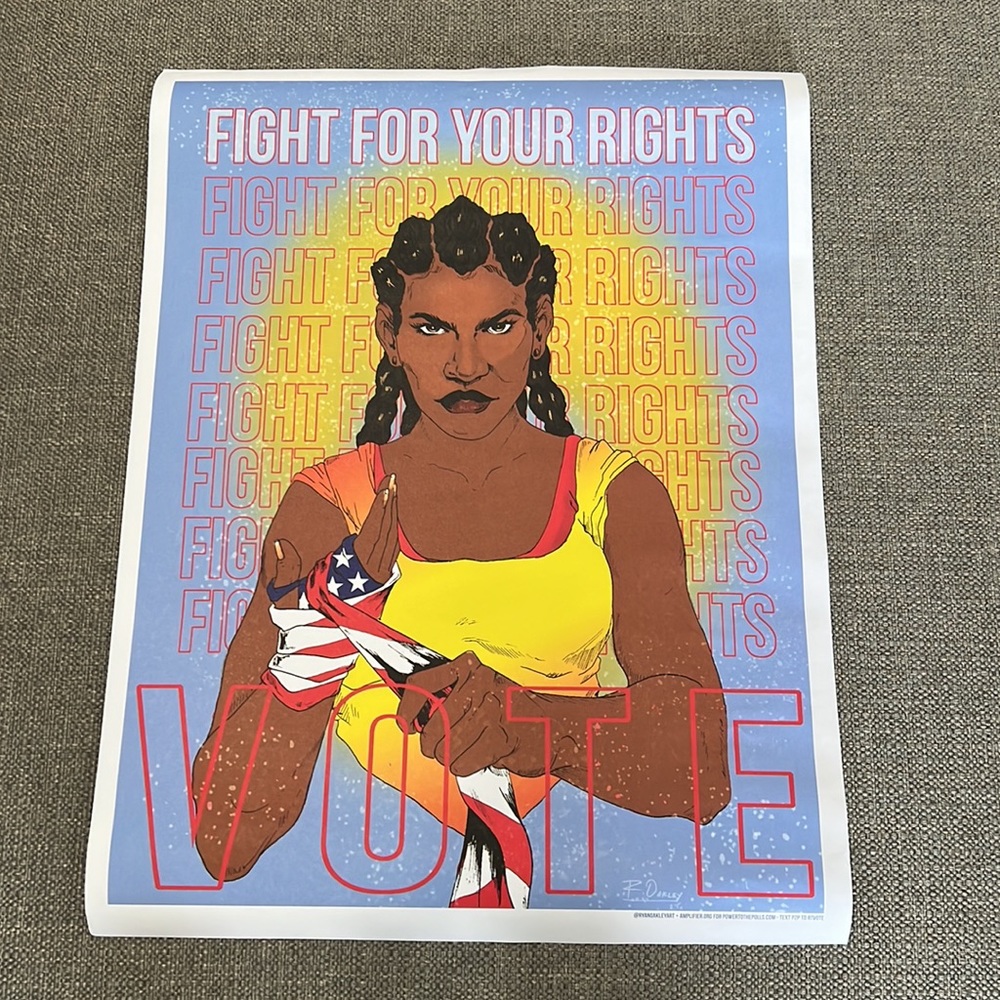 Amplifier Fight For Your Rights USA Female Boxer Poster Artist Ryan Oakley 24x18